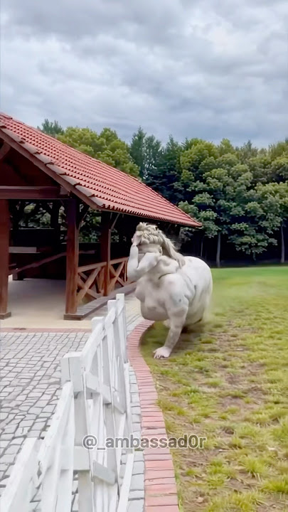 What’s this 😱😱 #funny #comedyshorts  #shortvideos  #shorts