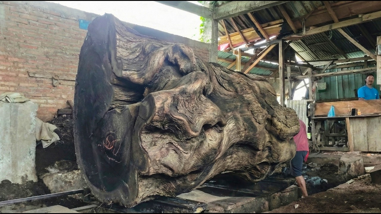 When a Giant Log Gets Stuck Inside the Sawmill Machine