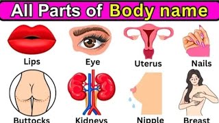 Body parts name and picture | english vocabulary and verbs #vocabulary