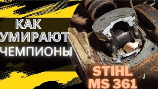 Смерть  бензопилы STIHL MS 361