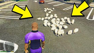 ALL MONEY LOCATION IN GTA 5 OFFLINE - NO MODS 