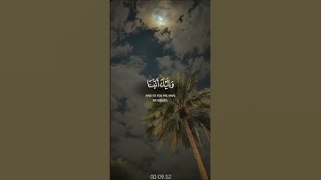قران كريم اجر لي ولكم القارئ محمد صديق اليشاوي