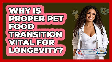Why Is Proper Pet Food Transition Vital For Longevity? - Ask A Pet Vet