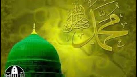 الجزء الرابع عشر من القرآن الكريم للشيخ حسن صالح