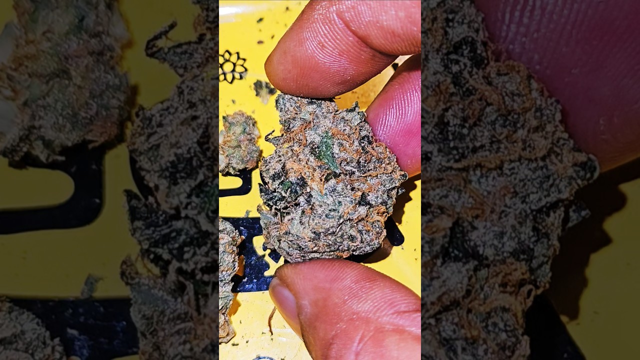 Мятные конфеты FOREIGN KUSH от Grassroots