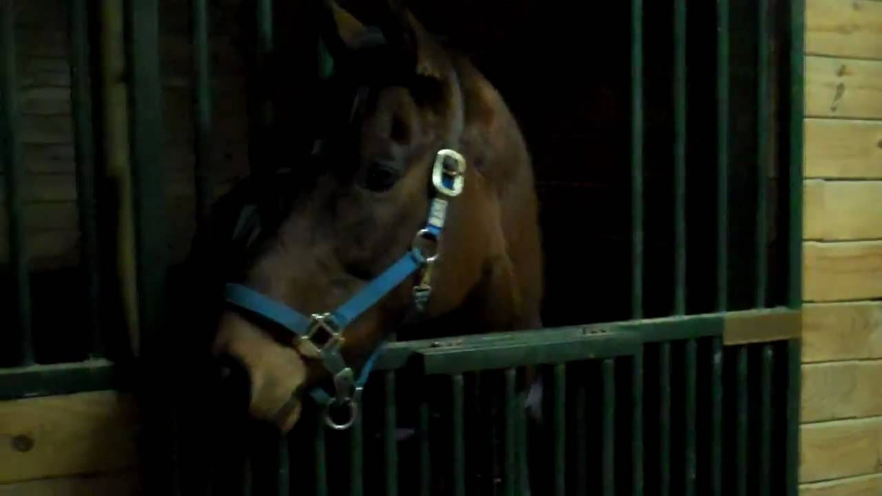 Superior Stables - a walk through the north wing (Superior Township, MI.)