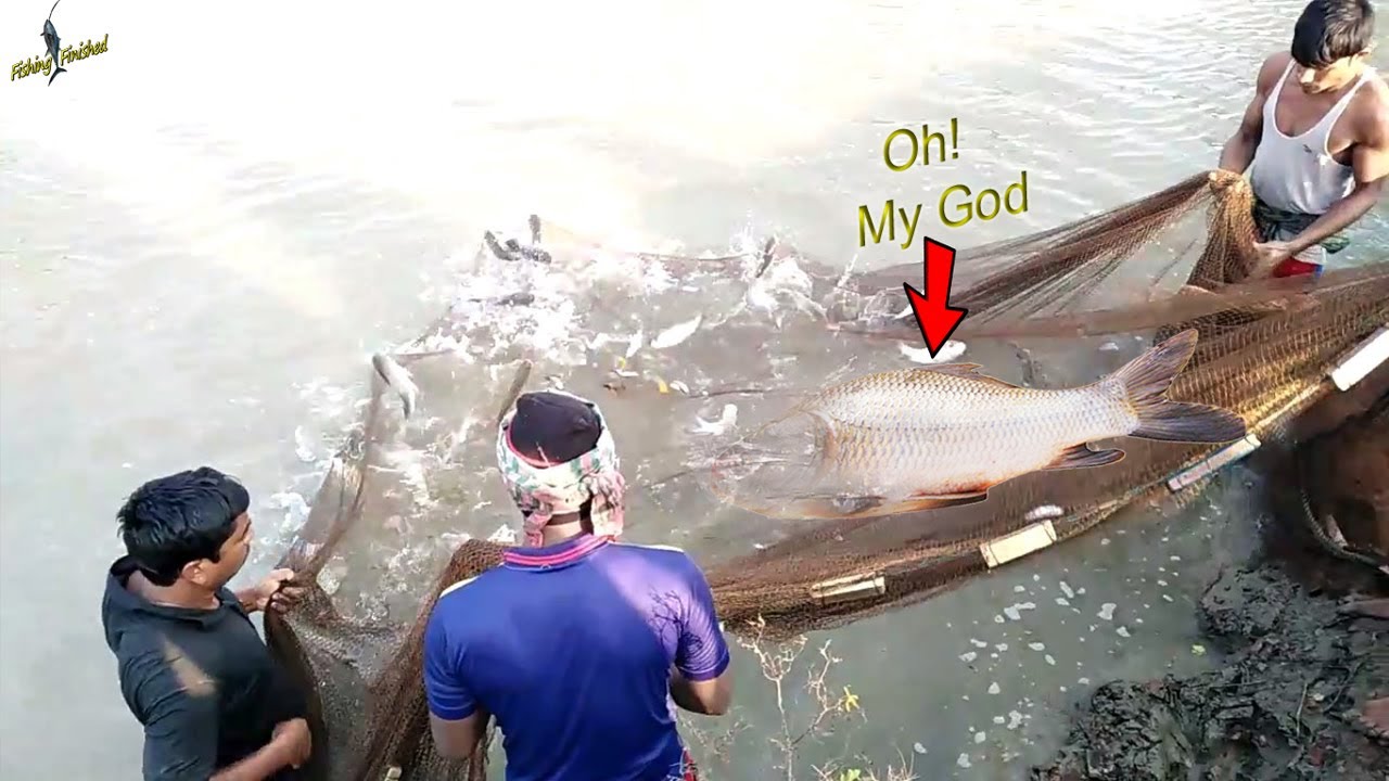 Amazing Big Fishing Catching Skill || Most Satisfying Big Fish Hunting ...