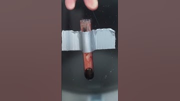 Thumbnail of I Gave Myself The Bends On Purpose
