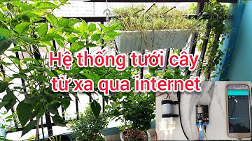 Hệ thống tưới cây điều khiển từ xa | Wifi Remote control Flowers Watering Garden - ESP8266 and BLYNK