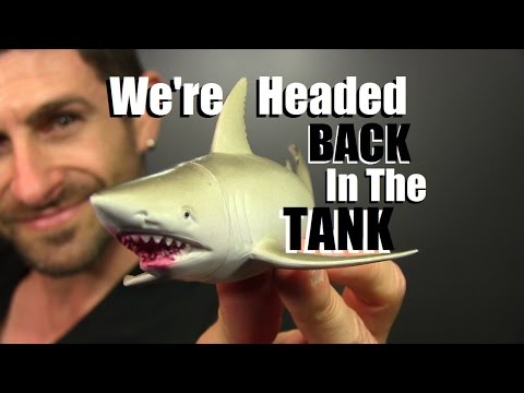 Alpha Is Headed BACK Into The Shark Tank - Alpha Is Headed BACK Into The Shark Tank