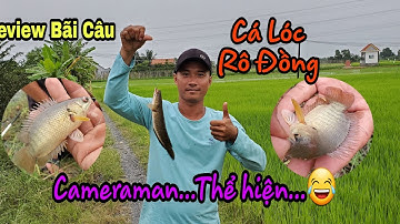 Review Bãi Câu Cá | Bãi Này Câu Cá Rô Đồng Là Ghiền | Sẽ Còn Thêm Vài Con Cá Lóc Nữa / T109