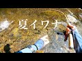 ウェットウェーディングで夏イワナの渓流へ! Hokkaido. Small Stream Lure Fishing