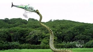 Титанобоа змея монстр Titanoboa cerrejonensis - Энциклопедия динозавров