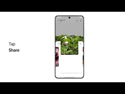 How to use Android Quick Share to send content to nearby iPhone| vivo Phone Tips