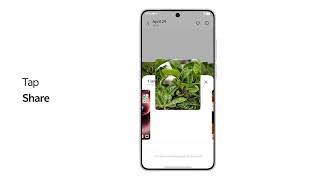How to use Android Quick Share to send content to nearby iPhone| vivo Phone Tips