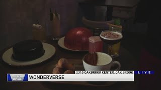Weekend Break: Wonderverse in Oak Brook