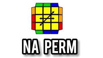 Which algorithm would you use on Na perm 💥💥