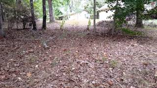 Slow Motion Bow Shot On 3D Target.