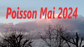 Poisson ♓Mai 2024 😇Surprise🎁 Don du ciel 😇Une personne de votre entourage se sépare💫