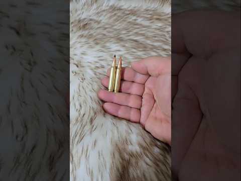 مقارنة تفجير ذخيرة سكستين المخرق والبلاستيك 223     