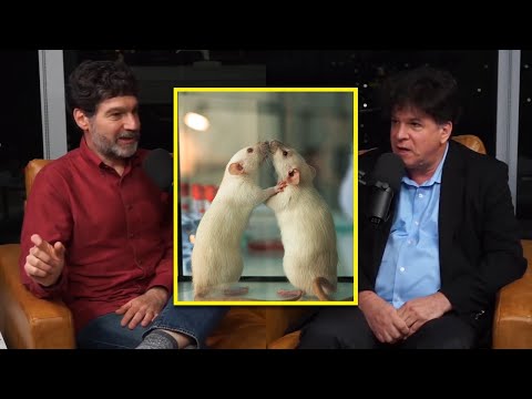 The Problem With Peer Review - Eric Weinstein | The Portal Podcast Clips