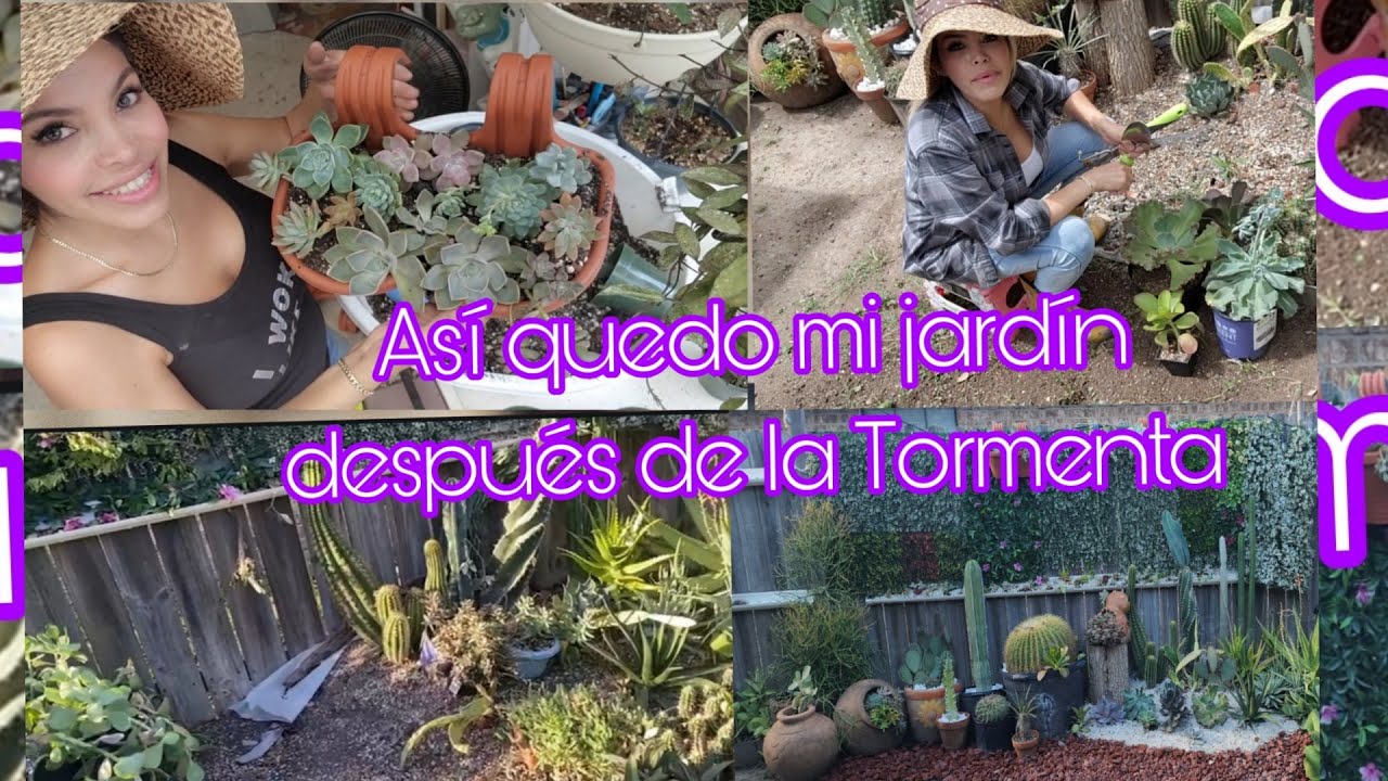 ASI AREGLÉ MI JARDIN DESPUÉS DE LA TORMENTA - YouTube