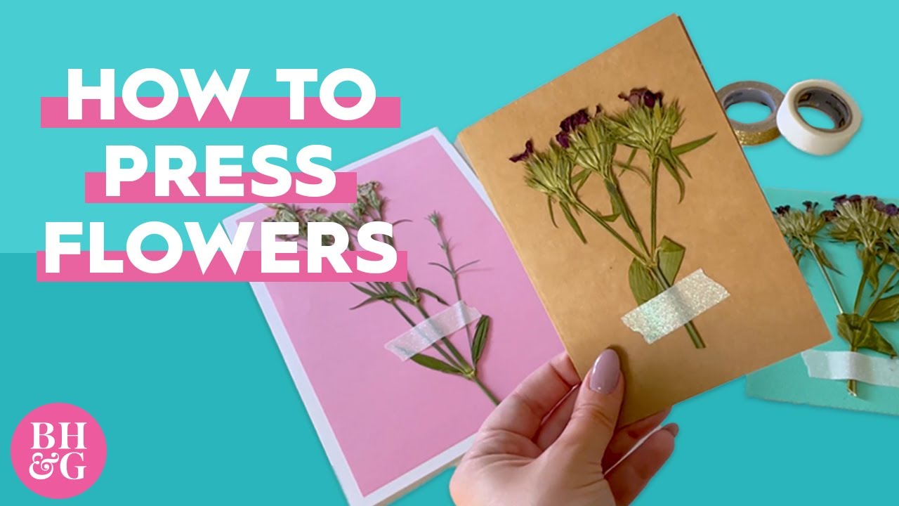 Learn How to Press FlowersIn the Microwave!