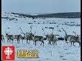 Land & Sea: Mushuau Innu learn to hunt caribou in Labrador