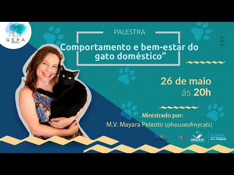 Vídeo: 15 maneiras totalmente livres para ajudar cães de abrigo e os funcionários que se importam com eles