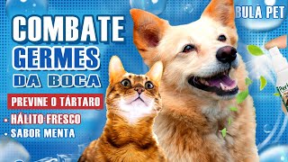 Higienizador Bucal Periovet