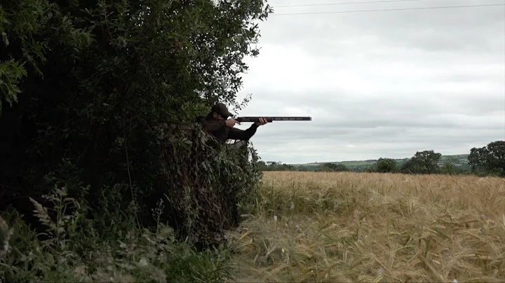 The Shooting Show - 'field to fork' pigeon shooting and cookery