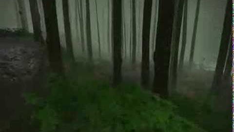 Forest game -Blender