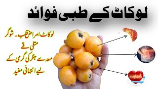 Loquat Ke Fayde | Loquat fruit Ke Fayde | Benefits Of Loquat Fruit In Urdu/Hindi By Hikmat Kay Moti