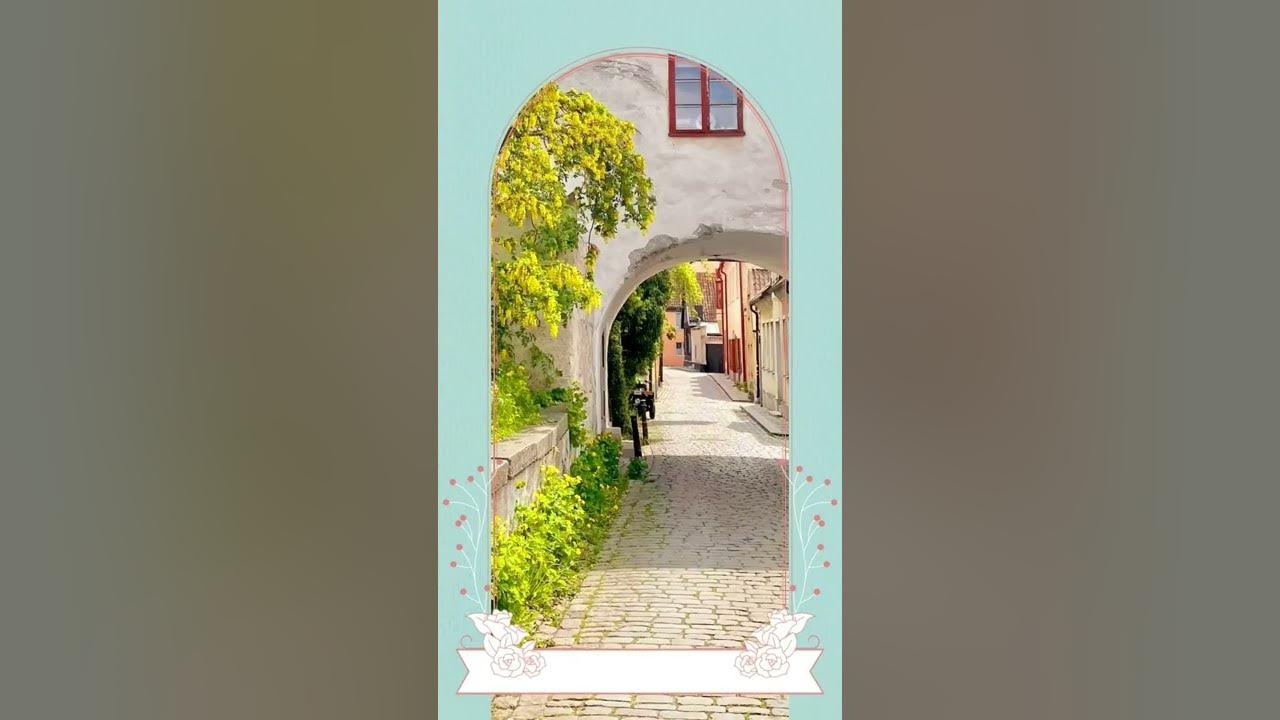 Summer in my Island!!!🥰#gotland  #sweden #europe 💐