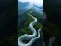 "CONGO JUNGLE का डरावना रहस्य"😨 || #Congorainforest And Snake #Mystery #Facts #YouTube #sorts ||