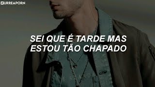 LIKE I WOULD - ZAYN (Tradução)