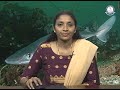 BRAOU : UG Zoology, 1st year 2nd semester : Scoliodon Digestive System
