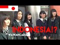 Apa Pendapat Orang Jepang  Tentang Indonesia? What Japanese Think of Indonesia? Wawancara Interview