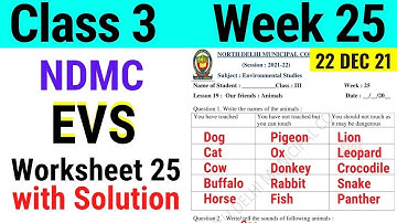 NDMC Class 3 EVS Week 25 Worksheet 25 (22/12/21) || worksheet 25 Class 3rd evs week 25 solution