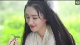 Người nói cùng bạn đến già giờ ở đâu|Thiên Tú|Lời Việt