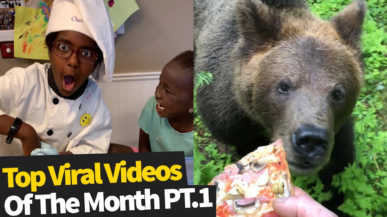 Top 25 Best Viral Videos Of The Month - June 2020  Part 1