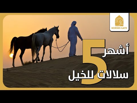 فيديو: سلالات الدراج: الوصف بالأسماء والخصائص والصور