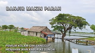 Download Lagu Berton ton ikan lari ke sungai! Mancing di sungai seperti kolam MP3