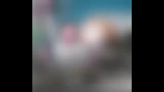 ابطالك يا فلسطين رفعو راسك بالعالي❤ لولويت على الشهداء