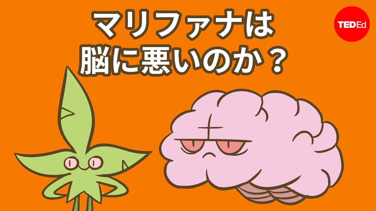 マリファナは 脳に悪いのか？アニーズ・バージ