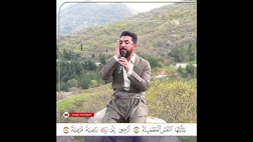 سورة الفجر القارئ سنكر عبدالقادر الكردي