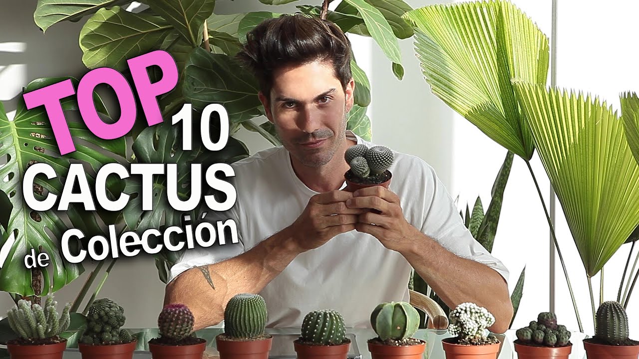 10 cactus INCREIBLES 🌵 y como CUIDARLOS🔝