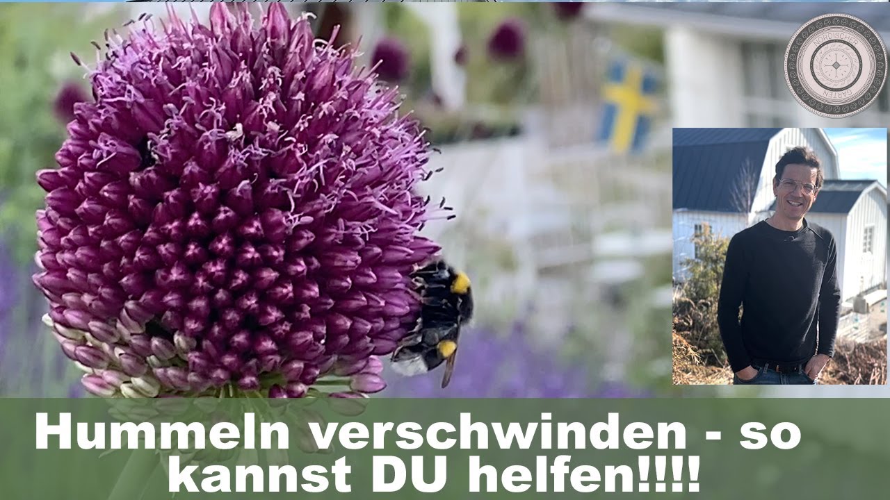 Hummeln schützen im eigenen Gartenn, Tipp für steile Böschungen, Hang