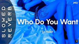 Ex Habit - Who Do You Want (s l o w e d + r e v e r b) ⚠️ Flash Warning ⚠️ Resimi
