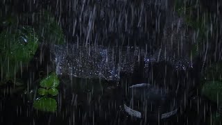 Gentle rain easy to help fast sleep in minutes goodbye insomnia and stress full heavy rain sounds